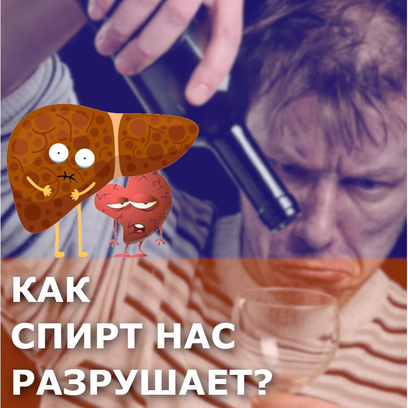 мужчина наливает алкоголь, на фоне волнуются печень и сердце